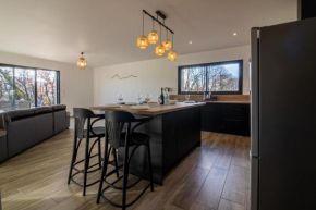 Maison neuve face aux Pyrénées